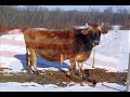 See Video