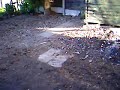 our garden before. our garden before.