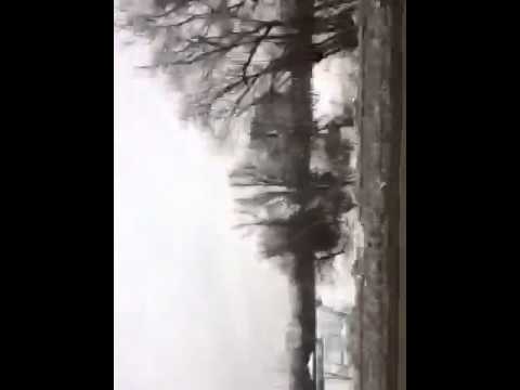 how to entertain yourself on a road trip