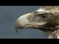 euronews science - Initiatives écologiques