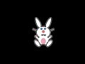 Nyuszi bumm / Bunny boom