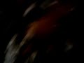 video-2009-07-25-00-17-36