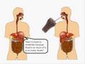 High Fructose Corn Syrup - the REAL truth