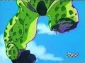 DBZ - Last resort
