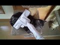 Click here to watch this video 掃除機でグルーミング
