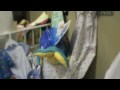 1st Way Pregnancy - Life Steps RC03