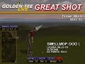 Golden Tee Great Shot on Bonnie Moor!