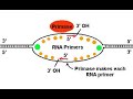 DNA Replication Rap DNA Replication Rap