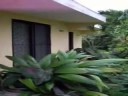 jurassic park 3.mov jurassic park 3.mov