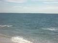 ATG bluefishing or sealfishing on ACK 2