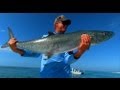 Boca Blitz (CLIP) - MONSTER KING MACKERAL fishing on mono