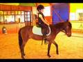 videos de Pony Eğitimi (İBK)