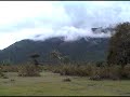 ooty ooty