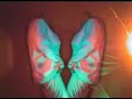 NinjaTune 10 Years of Zen AV Mix