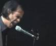 Nick Cave and the bad seeds West Country Girl live