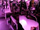 In the Gym