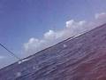 parasailing in panama city beach, florida