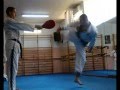 HAPKIDO JJK SEM R COUET 010308