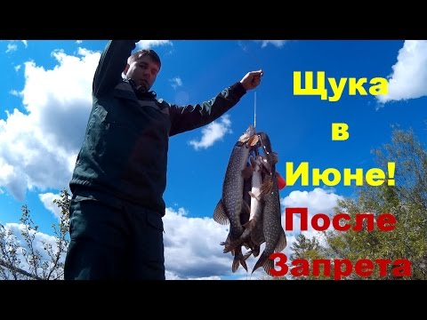 большая рыбалка открыть все большая рыбалка открыть все