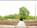 Arlesey Co-Op Crossing