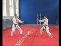 Kawasaki Norio on Russian TV. Part 2