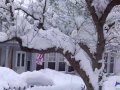 CNY Snow Pt II