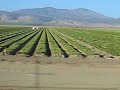 Southern California Fields