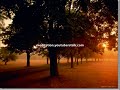 Relaxation Music, Mind and Meditation