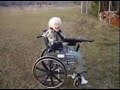 Shoot Him In His Tootles