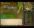 Iron Dragons: The Melee Guide