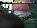 FAIR GROUNDS, 2009-12-14, Race 3