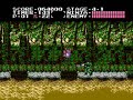 an awesome game on the nes that has some gameplay elements from ninja gaiden and spy hunter. in japan, it's alternate title was 