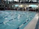Master Balnea 50 farfalla Giosy & Rosanna