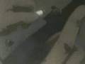 AMV E Nomine