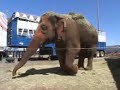 Circo dos Horrores em Brasilia
