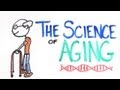 The Science of Aging