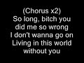 Eminem-kim lyrics kim