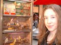 the kirwan's new year in barcelona