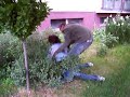 Csenky Attack