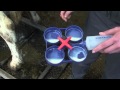 Лопатка для тестирования молока SHOOF Видео