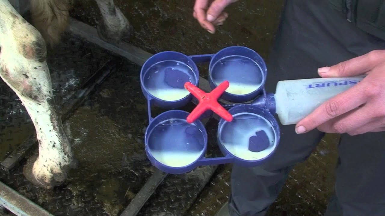 Лопатка для тестирования молока SHOOF Видео