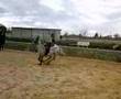 videos de o merd plus de mel
