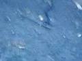 videos de en snock
