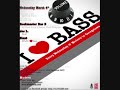 NEW BASS MUSIC MIX 2009 - DJ NAZA