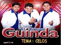 GRUPO GUINDA CELOSwmv