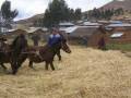 videos de mirgas