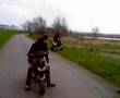 appie