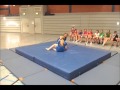 Click to View : Sumo-Ringen