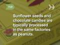 sunflower seeds, tree nut allergy