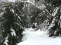 Raquetada Estany Sant Maurici y Cascada Ratera